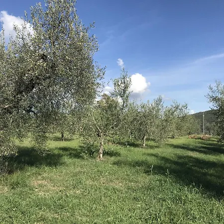 Modern Holiday In Italy With Private Pool Дом отдыха Корчано